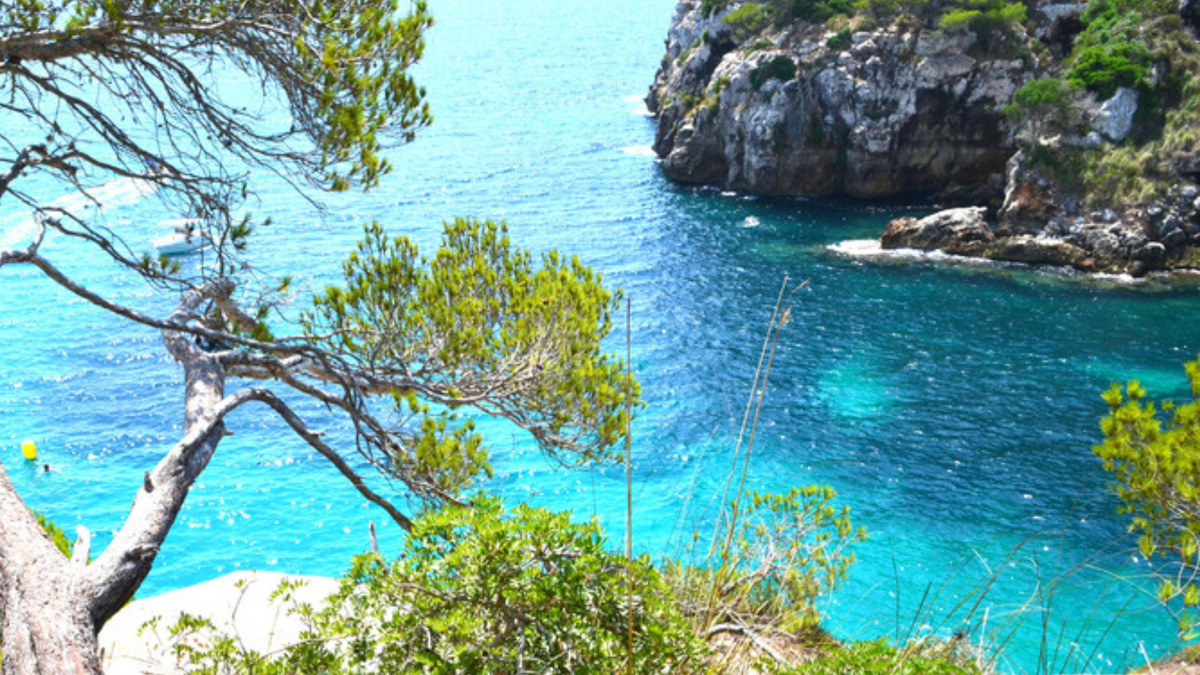 hero-rewire-menorca
